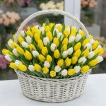 Композиция из 151 тюльпана &laquo;Люкс&raquo;