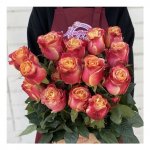 Роза &laquo;Атомик&raquo;