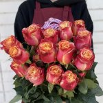 Роза &laquo;Атомик&raquo;