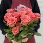 Роза &laquo;Амстердам&raquo;