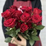 Роза &laquo;Ред пантер&raquo;