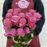 Роза &laquo;Сиреневая&raquo;