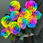 Роза &laquo;Радужная&raquo;