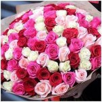 Букет из 101 розовой розы &laquo;Многоцветик&raquo;