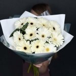 Букет из кремовой герберы &laquo;Солнечная леди&raquo;