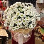 Цветы в коробке  &laquo;Созвездие&raquo;