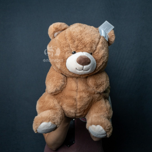 Мягкая игрушка мишка «Тедди» в Сыктывкаре от магазина «Флориска»