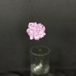 Гвоздика &laquo;Сиреневая&raquo;