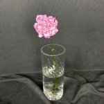 Гвоздика &laquo;Сиреневая&raquo;