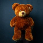 Мягкая игрушка &laquo;Касолапый&raquo;