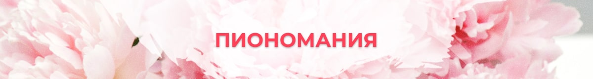 Букеты с пионами